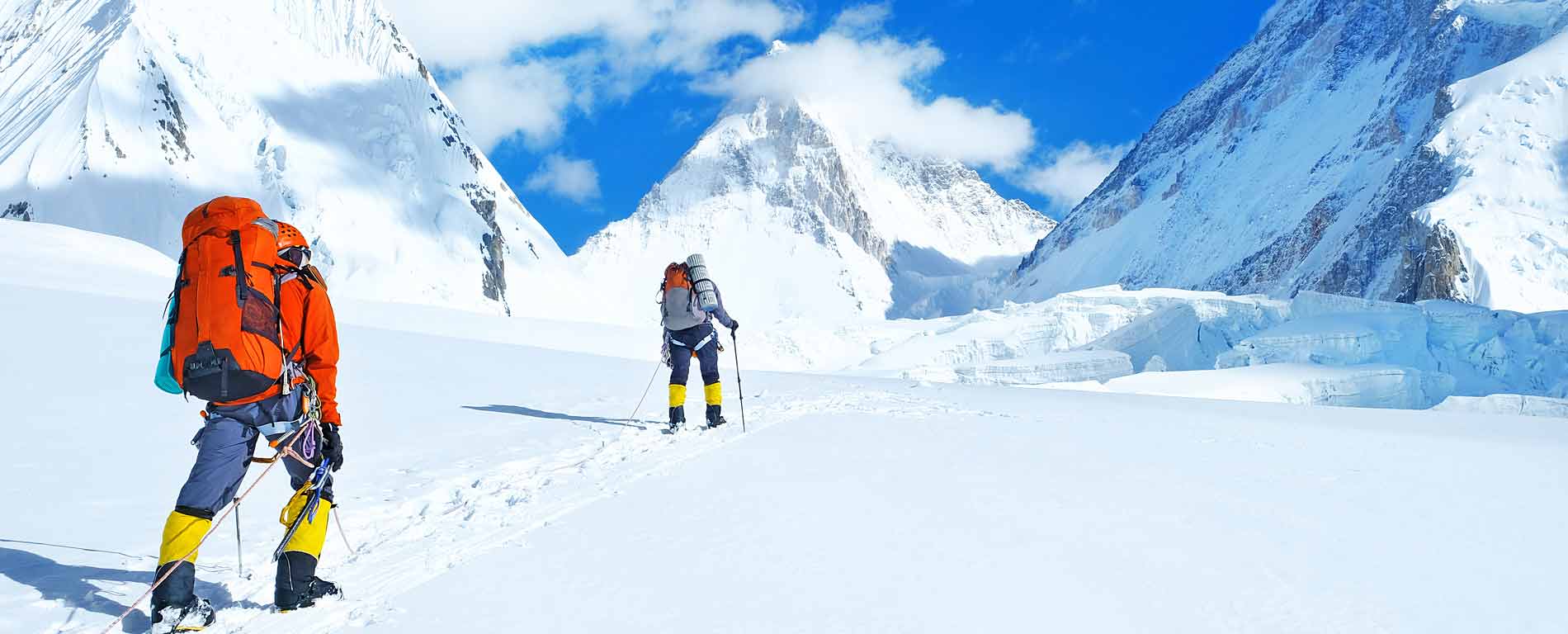 В единой связке